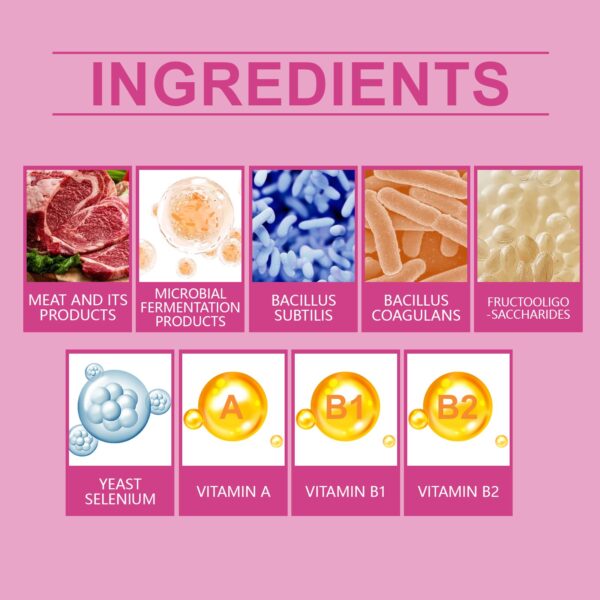 Dog Probiotic Tablets To Improve Intestinal Health,