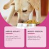 Dog Probiotic Tablets To Improve Intestinal Health,