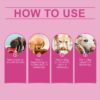 Dog Probiotic Tablets To Improve Intestinal Health,